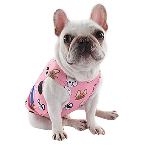 Biowlucn Summer Cooling Pet Clothes Outdoor Fat Dog Vest Shirt Clothes for Dogs Vest French Bulldog Clothing for Dogs Cooling Costume Pug Biowlucn Summer Cooling Pet Clothes Outdoor Fat Dog Vest Shirt Clothes for Dogs Vest French Bulldog Clothing for Dogs Cooling Costume Pug