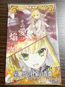 まるる）FGOアーケード FateGrand Order FGOAC