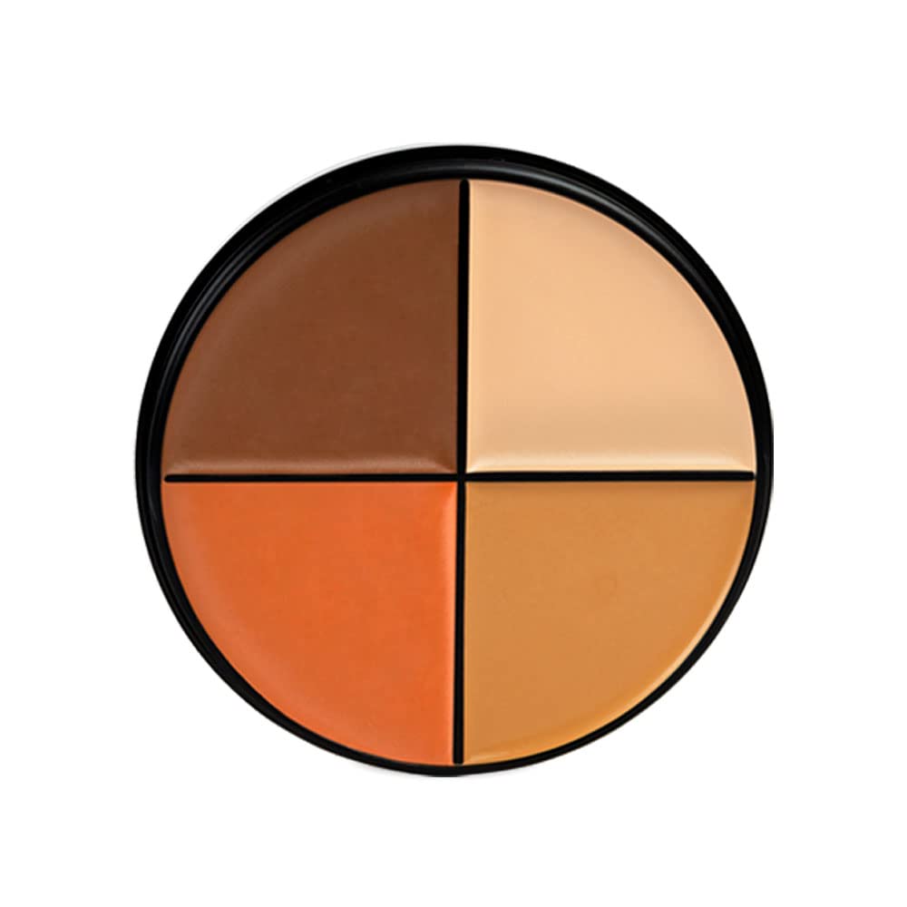 Daily Life Forever52 Matte Finish 4 Color Shades Concealer Kit Multipurpose creamy, lightweight Easy-To-Blend Hydrating Formula For Smooth Long Lasting Natural Finish Perfect Look AC003-image-14