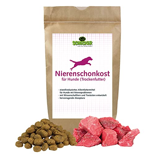 Bindung zum hund testen