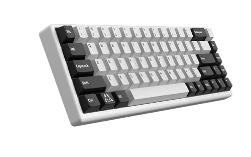 ARBITER Polar 65 - CNC Magnetic Gaming Keyboard w Rapid Trigger, Hall Effect Switches, CNC Aluminum Frame, Rapid Key, 65% Compact, Bright RGB, Dual-Shot PBT Keycaps - White Panda