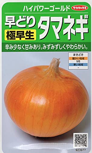 タマネギ Amazon.co.jp: 種・早どりタマネギ・ハイパワーゴールド : DIY