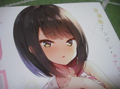 Amazon チアリーダー 月嶋かな誌煎路 Senji こもわた遙華 オリジナル イラスト本 てごねスパイク アニメ 萌えグッズ 通販