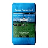 Outsidepride Forage Tall Fescue Grass Seeds - 25 lb...