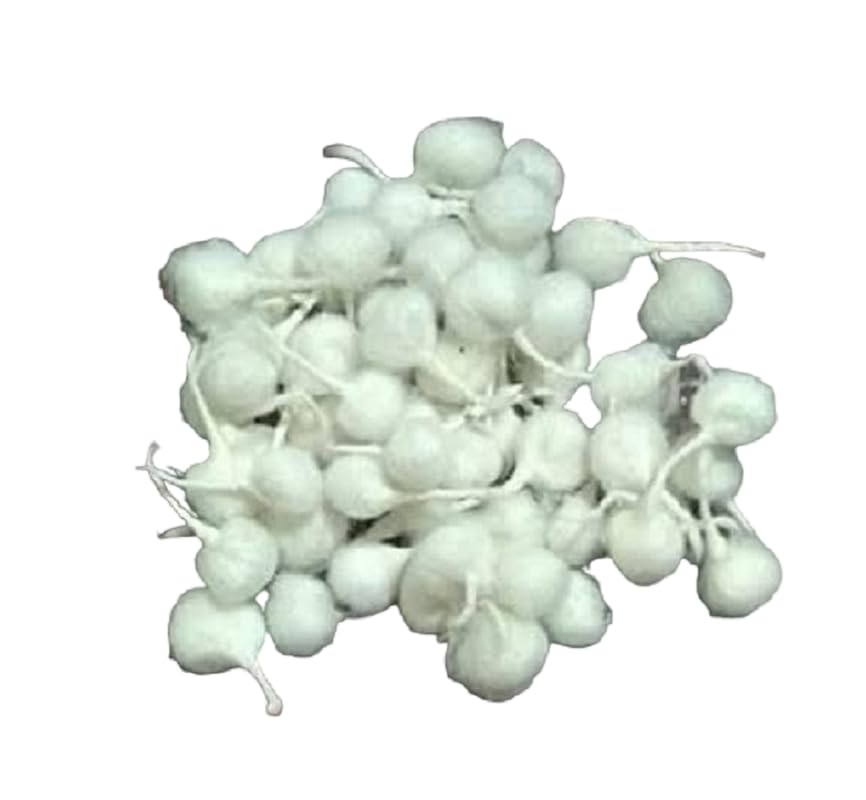 Set Phool Batti Pooja con 500 piezas para ritos espirituales