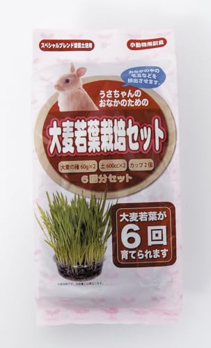 アラタ うさちゃん用大麦若葉栽培セット