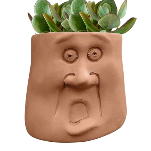 Pot de fleurs visage en résine pour plante succulente et décoration de jardin