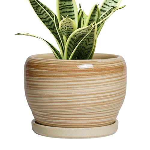 SQOWL Ceramic Pot for Plants - 6 Inch Indoor Planter