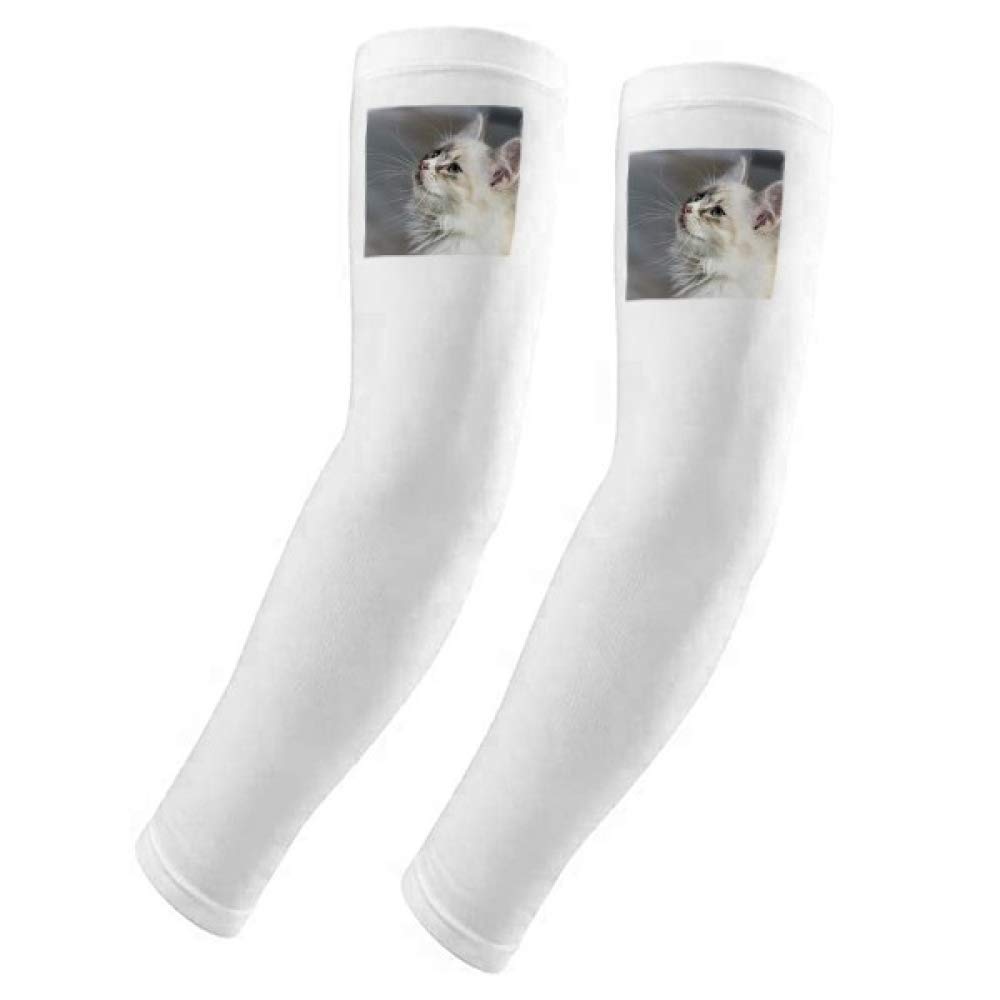 Guante para mascotas blanco DIYthinker cepillo quitapelos de goma 5