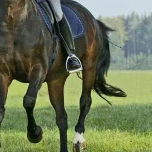 YASSINHE Estribos de equitação de aço inoxidável proteção para equitação inglesa 1 par - dourado