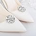 JWICOS 1 Pair Fashion Rhinestone Flower Shoe Clips Crystal Shoe Buckles Decorative Shoe Charms Jewelry for Women Heels Flats (Style 6)