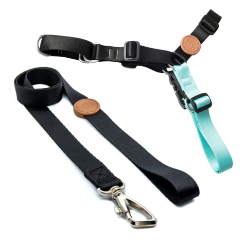 Toh Conjunto Peitoral Antipuxão E Guia Preto P