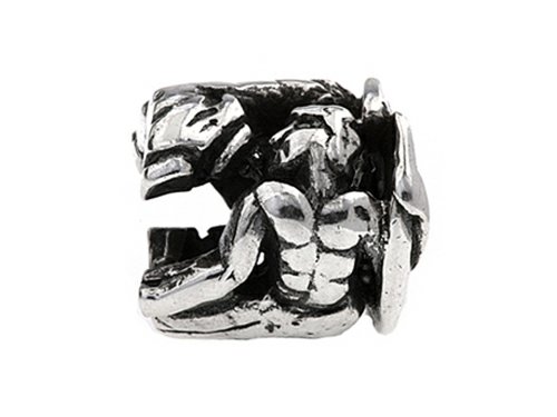 Silverado Sterling Silver Zodiac Aquarius Bead/Charm #TOP7