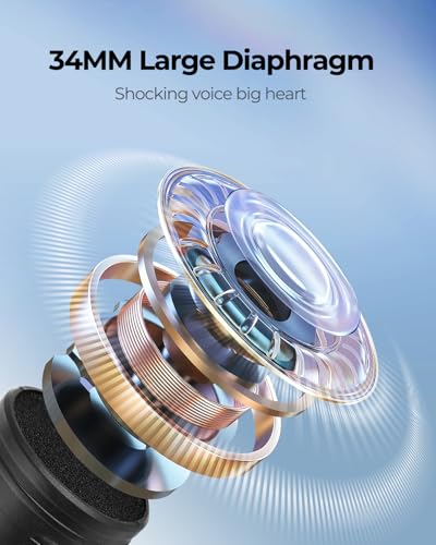 image for ALPOWL Wireless Microphones, Metal Dynamic Microphone System with Rech