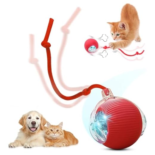 Interactive Electric Automatic Rolling Moving USB Rechargeable Self Activated Play Stimulation Toy Smart Chase Teaser Ball with Speedy Tail Rope for Bored Adult Indoor Cats and Dogs, Red