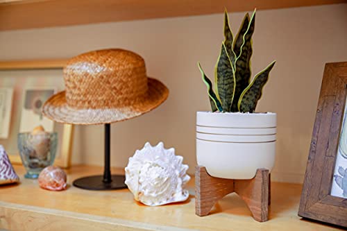 Ella And Lulu Design Artificial Snake Plant In Midcentury Modern Pot, Faux Succulent For Home Decor, Perfect Houseplant For Desktop, Artificial Succulent For Boho, Farmhouse, Hygge Decor #TOP5