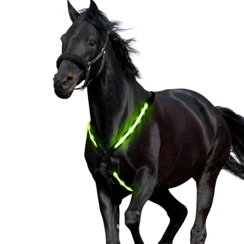 Sangle de poitrine cheval LED réglable pour rester visible des voitures - 4