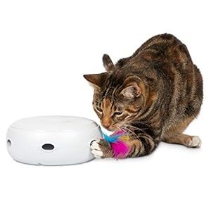 PetFusion Ambush Interactive Cat Toys for Indoor/Outdoor Activity – New & Improved Cat Feather Toys Replacement Feathers Available 12 Month Warranty