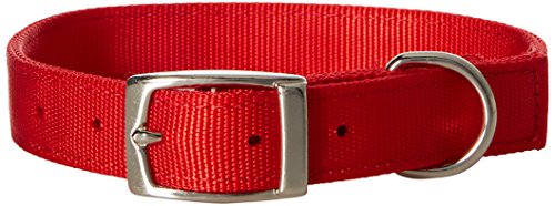 Precision Pet Products Aspen Pet Products 21286 Nylon Dog Collar, 1 By 20-Inch, Red #TOP6