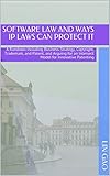 Software Law and Ways IP Laws Can Protect It: A Rundown including Business Strategy, Copyright, Trademark, and Patent, and Arguing for an Intersect Model for Innovative Patenting