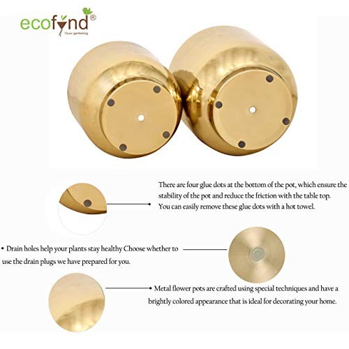 ecofynd 2 Pack Eva Metal Plant Pots (8 inch, 9 inch) | Indoor Planter Flower Pots with Drainage Hole | Home Garden Decor Planter for Living Room Bedroom Interior (Gold Finish)