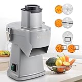 NEWTRY 4 in 1 Electric Vegetable Slicer Dicer Shredder & Strip Cutter, Commercial Automatic Multifunctional Food Chopper for Veggies & Fruits, with Thickness Adjustable Blades, 110V, 200W