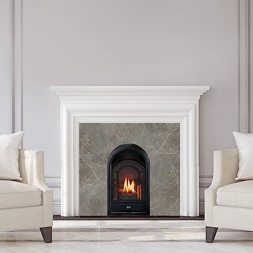 Dual Fuel Ventless Gas Fireplace Insert with Thermostat Control