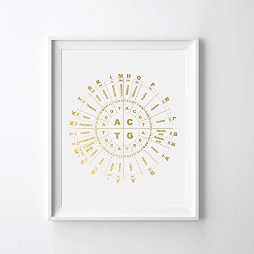 Genetic Code Chart Gold Foil Print, Genetic Code Chart Art Print, Genetic Code Gold Print (08" x 10" UNFRAMED)
