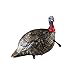 The Avianx Jake Quarter Strut Decoy
