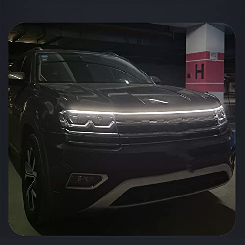  LEDe[v t[hCg  LEDe[v pԗpt[h SUVpt[h (zCg,1.5M)