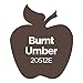 Apple Barrel Acrylic Paint in Assorted Colors (2 oz), 20512, Burnt Umber