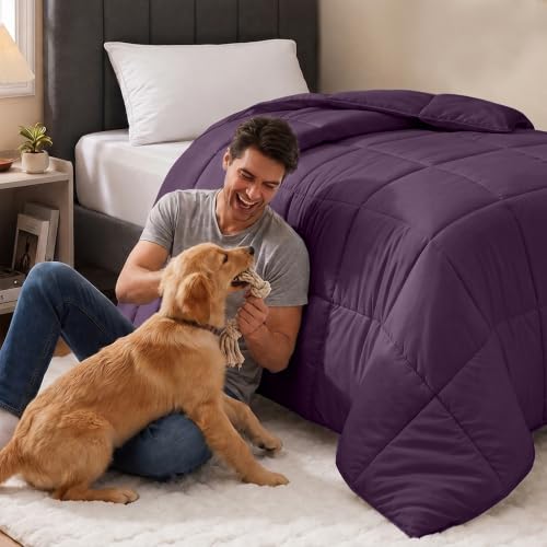 Image of Utopia Bedding Twin Comforter, Duvet Insert, Plum, 64 x 88 Inches
