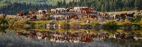 Cowboys and Horses Reflection Fabric Panel - AHS-034 - Panel Size is 35.5” X 12.5”, Quality Quilting Cotton