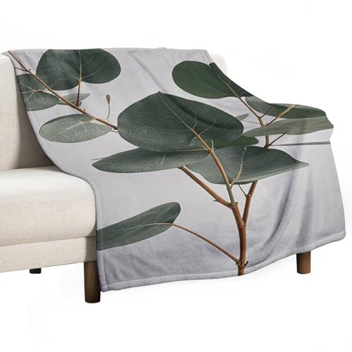 Couverture douce flanelle eucalyptus pour des soirées cocooning - 2