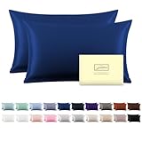 Silk Pillow Cases 2 Pack,Soft Breathable and Sliky Standard Size Pillow Cases Set of 2,Natural Mulberry Silk Pillowcase Set of 2 for Hair and Skin with Hidden Zipper (Royal Blue,20