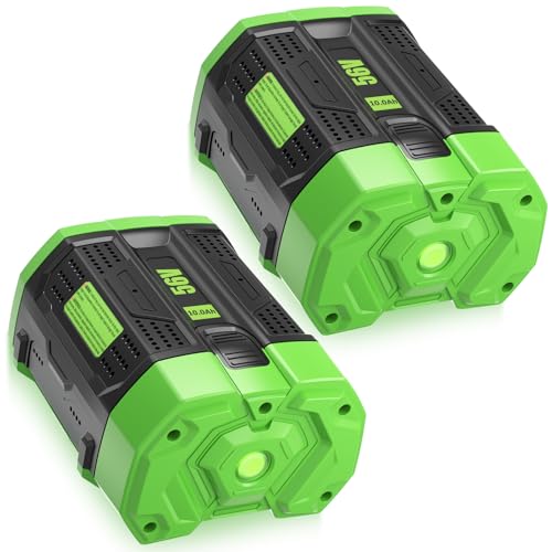 2-Pack 10000mAh Replacement Batteries for EGO 56V Tools