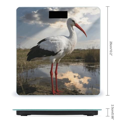 Báscula Stork para peso corporal con vidrio templado miniatura 2