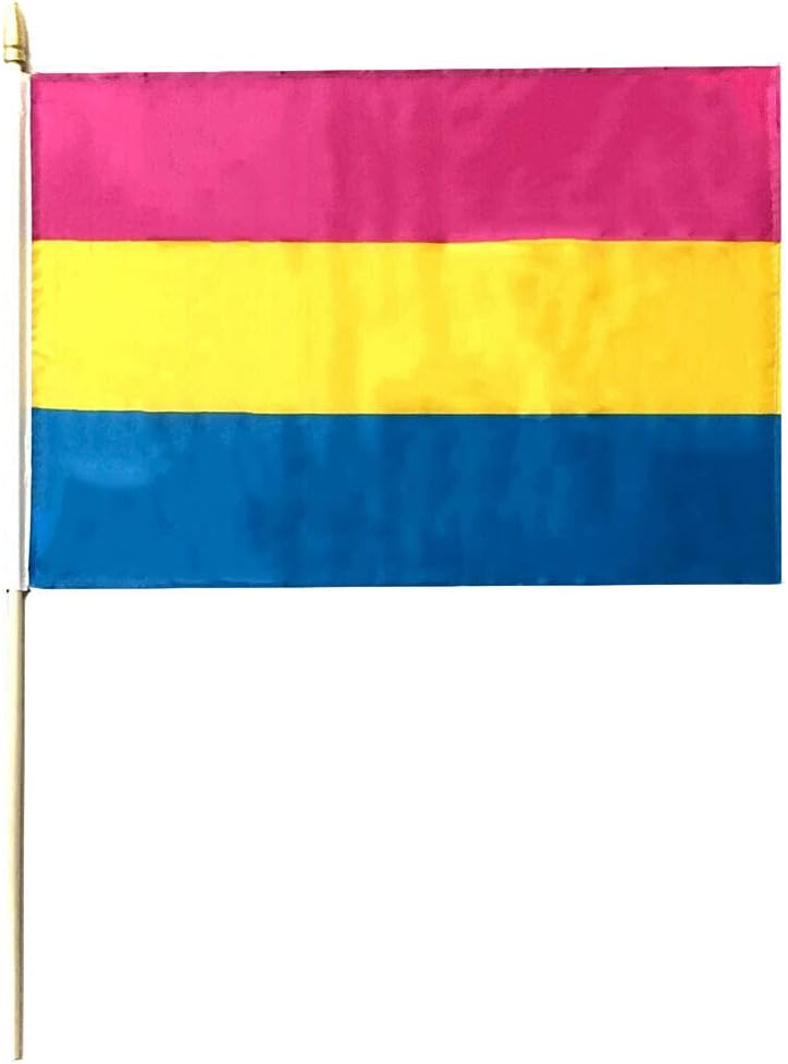 12 Pack Pansexual Pride 12"x18" 68D Rough Tex Nylon Wood Stick Flag 24" Staff