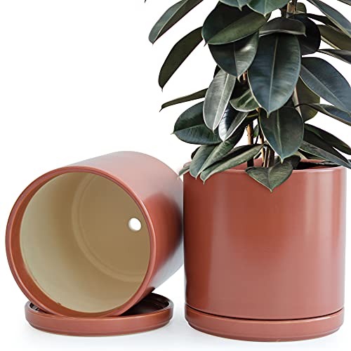 Set of 2 Plants Pot, 10 Inch Ceramic Planter Pot for Plants with...