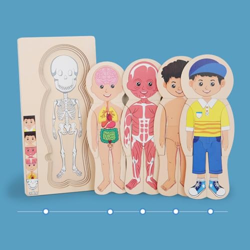 Image of Toy Wooden Body Puzzle for Kids Montessori Puzzles for Baby Girls Boys Children Boy