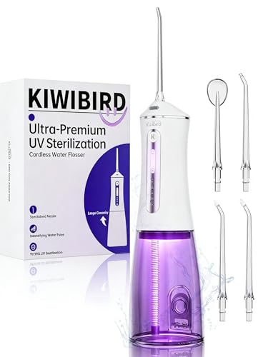 Hydropulseur dentaire sans fil IPX7 à jet d'eau purifié par UVC