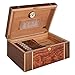 Humidor Supreme Desktop Cigar Walnut Wood Burl Wood Decorative Maple Inlay Glass Hygrometer Spanish Cedar Tray, Holds 45-75 Cigars (Amarone)
