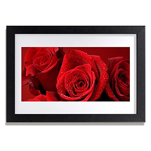 Cadre photo fleurs de roses 30x20 cm affiche avec cadre en MDF