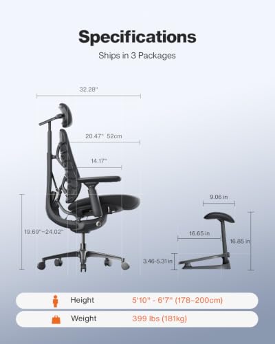 omidi chair review