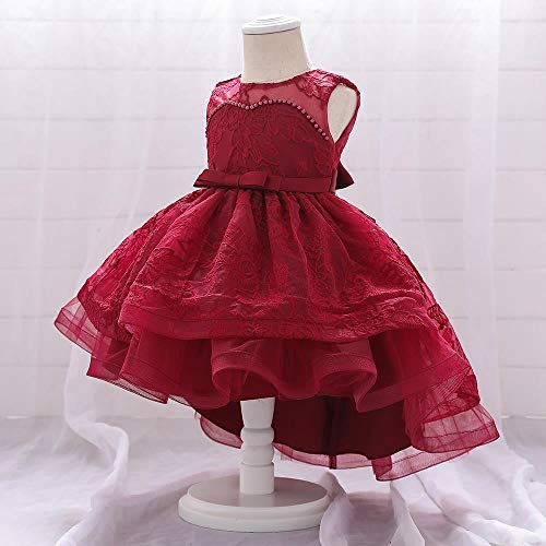 Dressy Daisy Baby Girls Wedding Flower Girl High Low Party Dress with Lace Embroideries for Pageant Special Occasion3