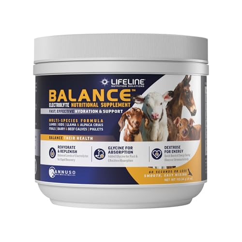 Electrolyte Supplement for Swine