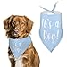 Personalized Pet Scarf Dog Bandana,Funny Bibs Triangle Head Scarfs for Dogs Cats Birthday Gifts