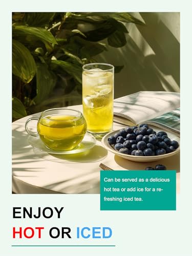 Image of TeeLux Blueberry Green Tea Bags, Fruit Flavored Tea, Smooth Taste, 100Count