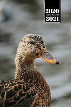 Duck Geese Goose Mallard Duckling Week Planner Weekly Organizer Calendar 2020 / 2021 - Brown Feathers: Cute Wildlife Animal Pet Bullet Journal Notebook Diary in 6” x 9” Inch Pocket Size