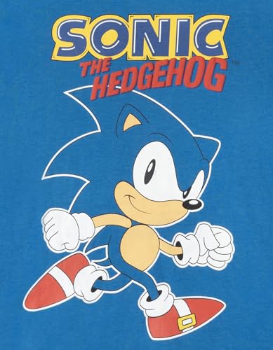 Image of SEGA Sonic the Hedgehog Athletic T-Shirt and Mesh Shorts Outfit Set Toddler to Big Kid Sizes (2T - 18-20)